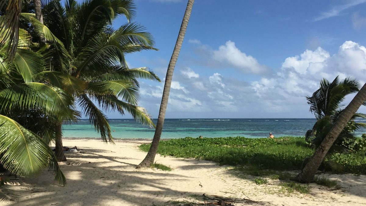 Séjour en famille en Martinique : choisissez la location de voiture