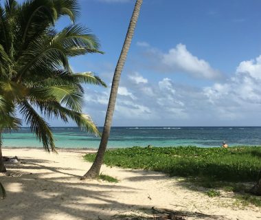 Séjour en famille en Martinique : choisissez la location de voiture